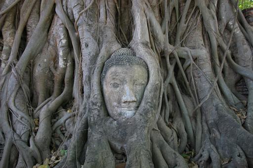 0345 Ayutthaya - oude VOC handelsplaats.JPG